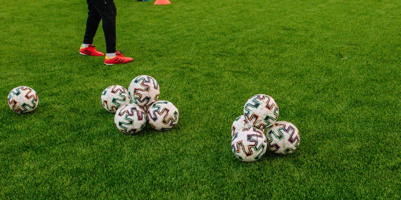 Sự đa dạng tạo nên sự khác biệt đầy hấp dẫn