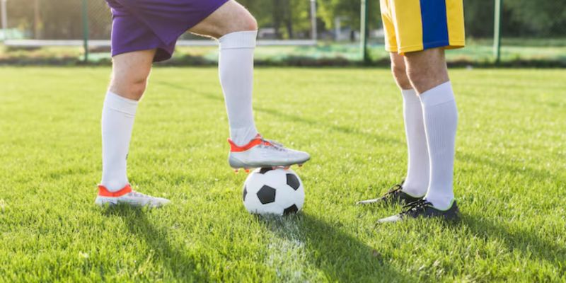 Thần dược tự nhiên xóa tan cơn đau vùng háng