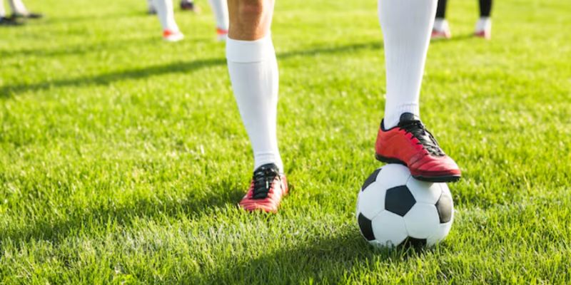 Tín hiệu ổn định để xem bóng đá mãn nhãn