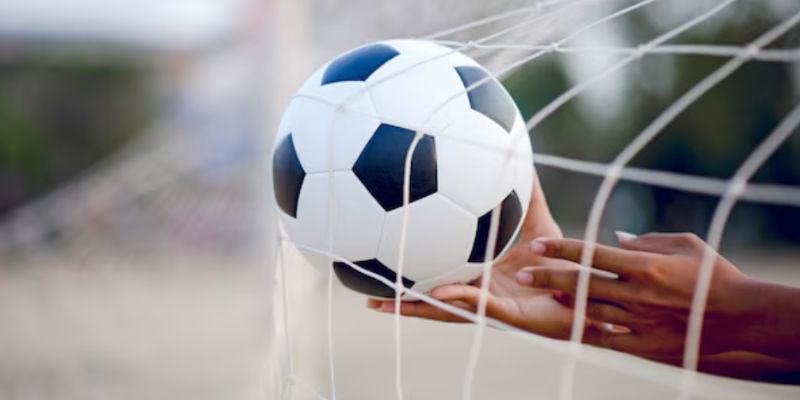 Thành viên phân tích bảng kèo cẩn thận