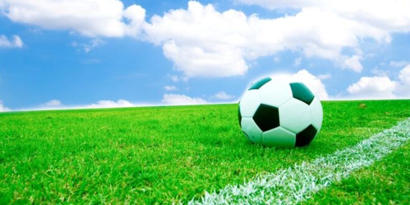 Lựa chọn cửa cược thông minh tối ưu lợi nhuận