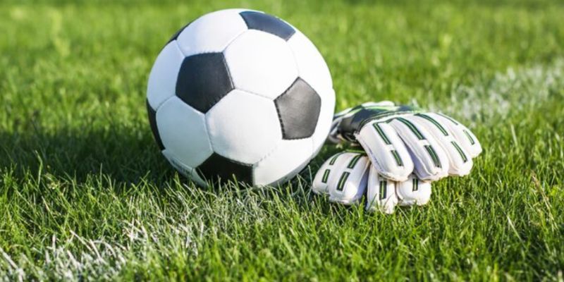 Tìm hiểu về sản phẩm máy chiếu xem bóng đá