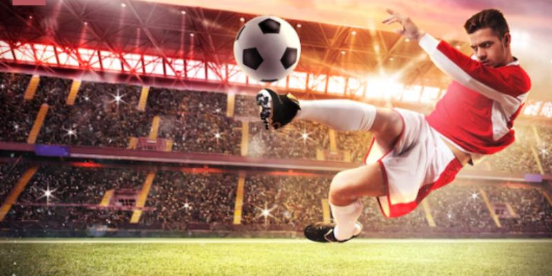 Bài tập đặc trị phục hồi đĩa đệm