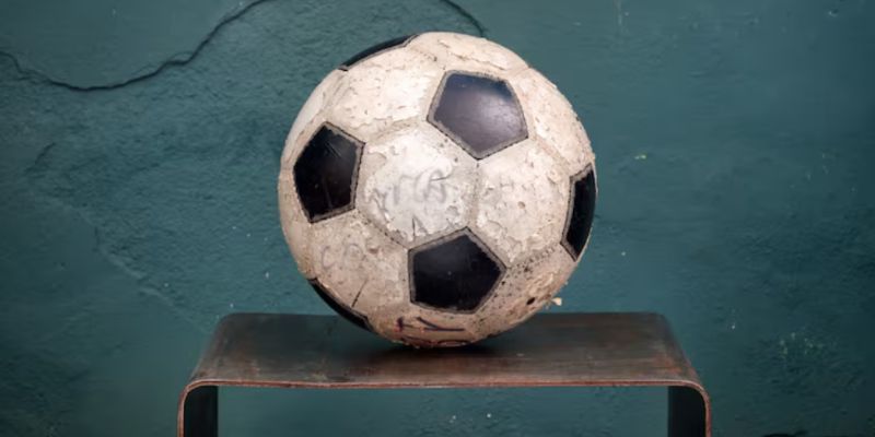 Wags là gì đóng vai trò hậu phương vững chắc